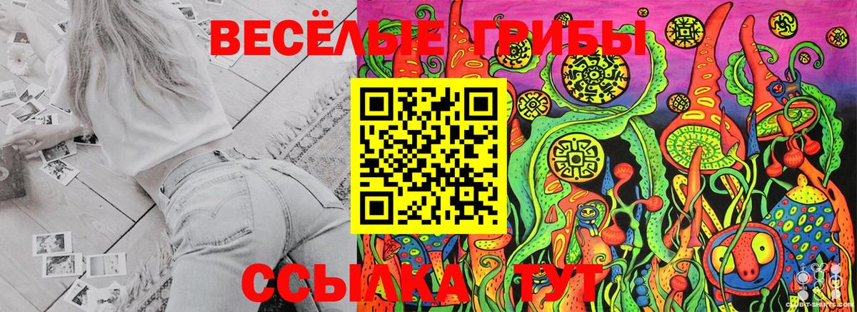 Галлюциногенные грибы Psilocybe Знаменск