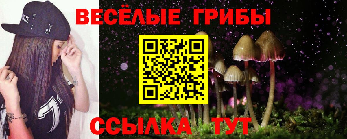 Знаменск  Псилоцибиновые грибы Magic Shrooms  Вход с VPN 